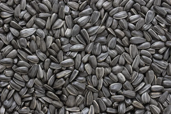 Black sunflower seeds texture or background. — Stock Photo, Image