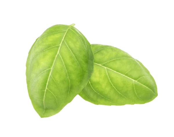 Basil leaves spice closeup isolated on white background. — Stock Photo, Image