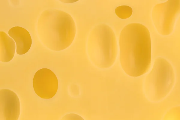 Textura del queso — Foto de Stock