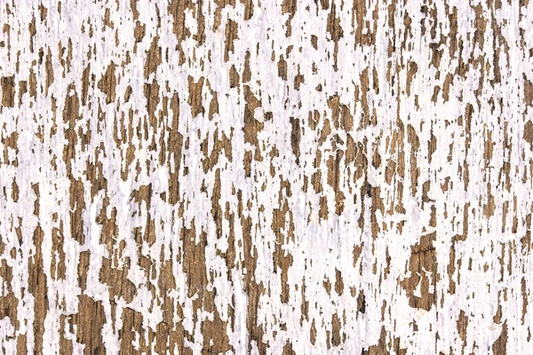 Textura de madera blanca vieja — Foto de Stock