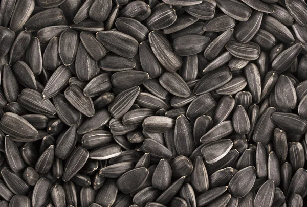 Background of black sunflower seeds — Stock Photo, Image