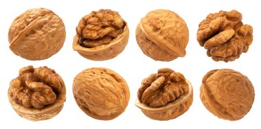 Kırpma yolu ve koleksiyonu olan beyaz arkaplanda izole edilmiş cevizler