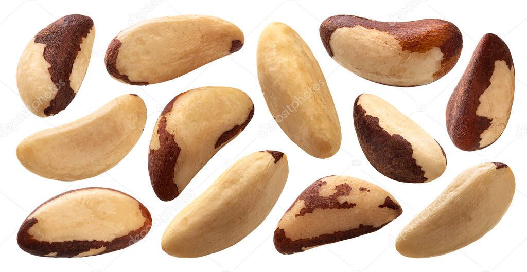 Brazil nuts isolated on white background with clipping path, collection