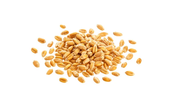 Pile Wheat Seeds Isolated White Background Top View — Stock Photo, Image