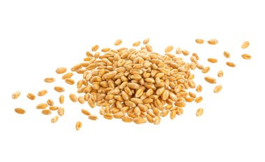 Beyaz arkaplanda izole buğday tohumları, üst görünüm
