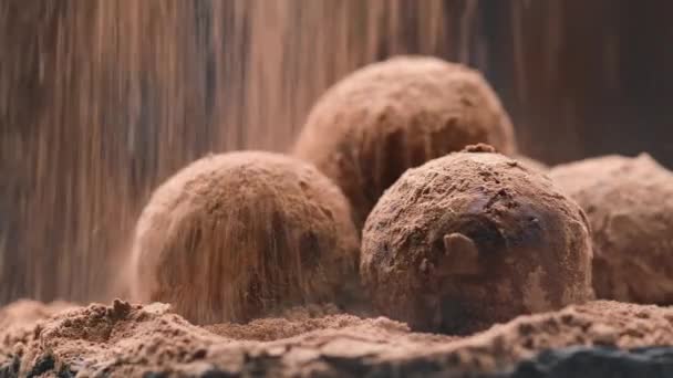 Cocoa powder falling on luxury homemade truffle candies — Stock Video