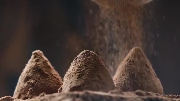 Kakaopulver faller på lyx hemlagad tryffel godis — Stockvideo