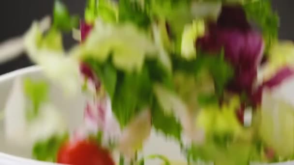Salada fresca caindo em tigela no fundo preto — Vídeo de Stock