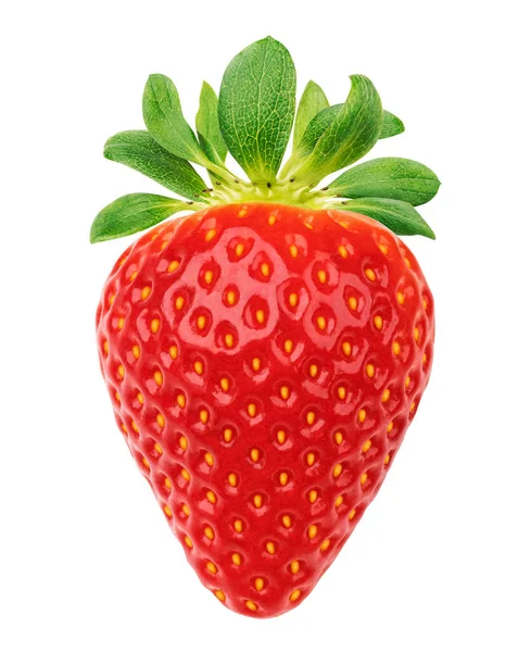 Une fraise isolée sur fond blanc — Photo