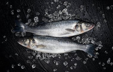 Siyah taş zemin üzerinde buzda taze deniz kabuğu balığı.