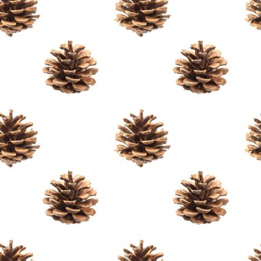 Beyaz arkaplanda izole edilmiş, kırpma yolu ile çam kozalakları