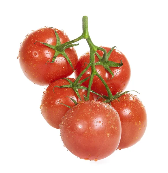 Tomates con gotas de agua sobre un fondo blanco — Foto de Stock