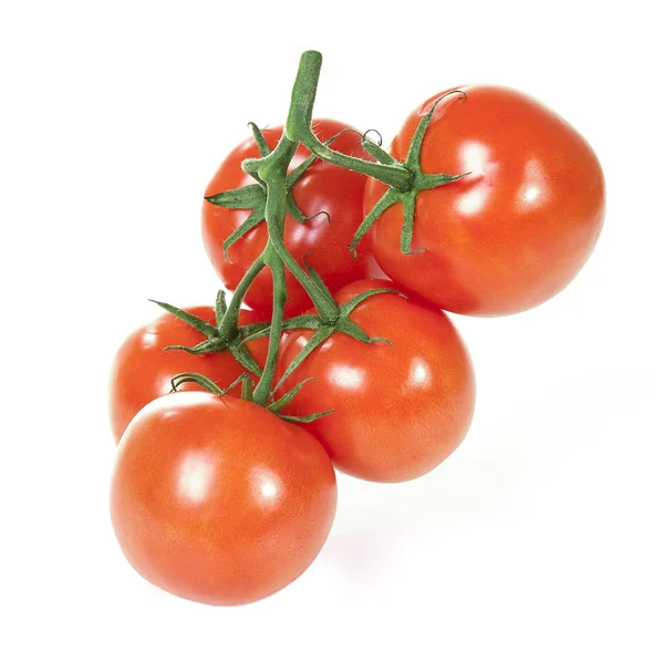 Tomates aislados en blanco — Foto de Stock