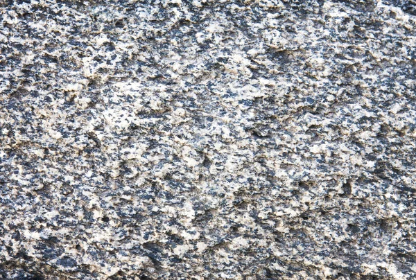 Grunge web textura piedra . — Foto de Stock