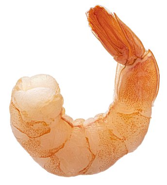 Karidese yakın çekim. Soyulmuş karides beyaz arka planda izole edilmiş. Tam alan derinliği