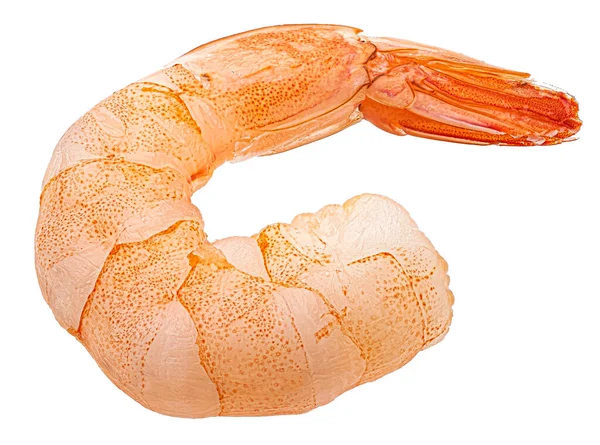 Karidese yakın çekim. Soyulmuş karides beyaz arka planda izole edilmiş. Tam alan derinliği