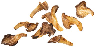 Düşen ızgara istiridye mantarı dilimleri beyaz arka planda izole edilmiş kırpma yolu, tam derinlik