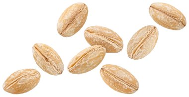 Düşen arpa tohumları beyaz arka planda izole, makro, tam derinlik