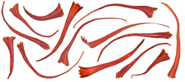 Safran iplikleri beyaz arkaplanda izole edilmiş, tam alan derinliği