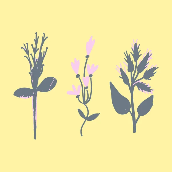 一组手工绘制的植物学元素 装饰花卉和树叶 孤立的病媒图解 — 图库矢量图片
