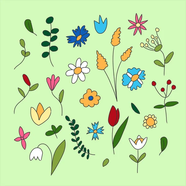 Set Van Met Hand Getrokken Bloeiende Bloemen Geïsoleerde Vector Illustratie — Stockvector