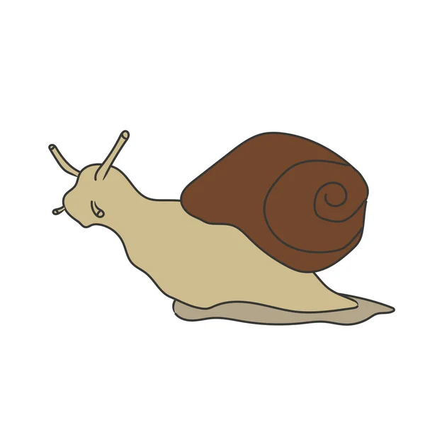 Caracol Bonito Desenhado Mão Ilustração Vetorial Isolada Fundo Branco — Vetor de Stock