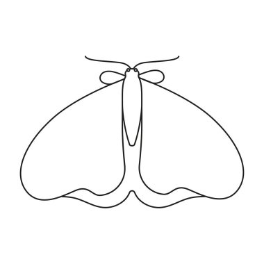 Ana hatları güve, dekoratif öğeler, düz tasarım. Beyaz arkaplanda izole vektör illüstrasyonu