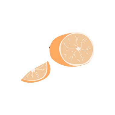 Noel konsepti. Sıcak şarap için el yapımı karalama malzemeleri. Bütün ve dilimlenmiş turuncu. Beyaz arkaplanda izole vektör illüstrasyonu