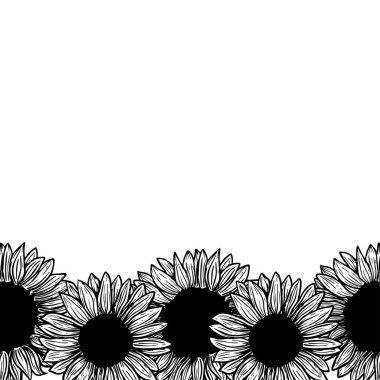 Banner, border, Ink sunflowers on white background for greeting card, line art. Hand-drawn decorative blooming sunflower elements in vector