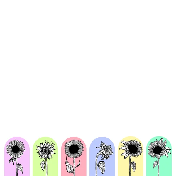 Banner Border Ink Sunflowers Colorful Background Greeting Card Line Art — 图库矢量图片