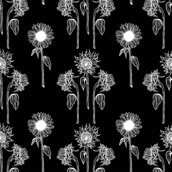 Seamless pattern white sunflower flower line art on black background illustration of a sunflower. Hand-drawn decorative blooming sunflower elements in vector