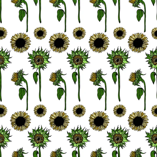 Seamless Pattern Sunflower Flower Line Art Black White Yellow Illustration — Stockvector