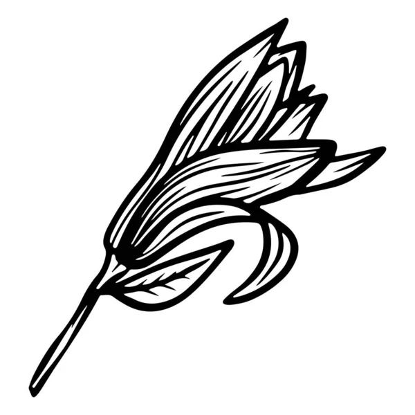 Trendy Doodle Illustration Black Magnolia Outline Spring Flower Hand Drawn — 图库矢量图片