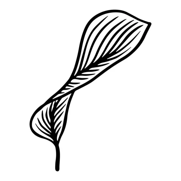 Leaves in outline style. Minimalism concept. Vector isolated outline drawing. Thin line art, vector illustration