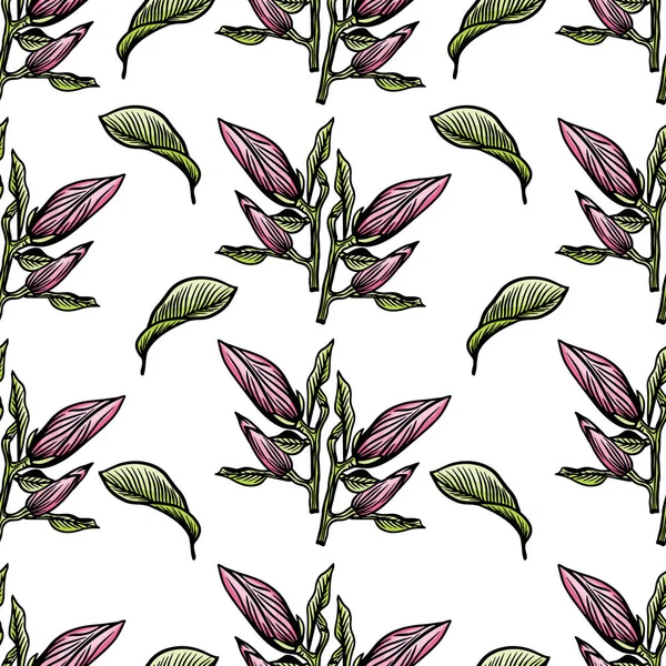 Pattern Seamless Black Magnolia Outline Spring Flower Hand Drawn Vector — Διανυσματικό Αρχείο