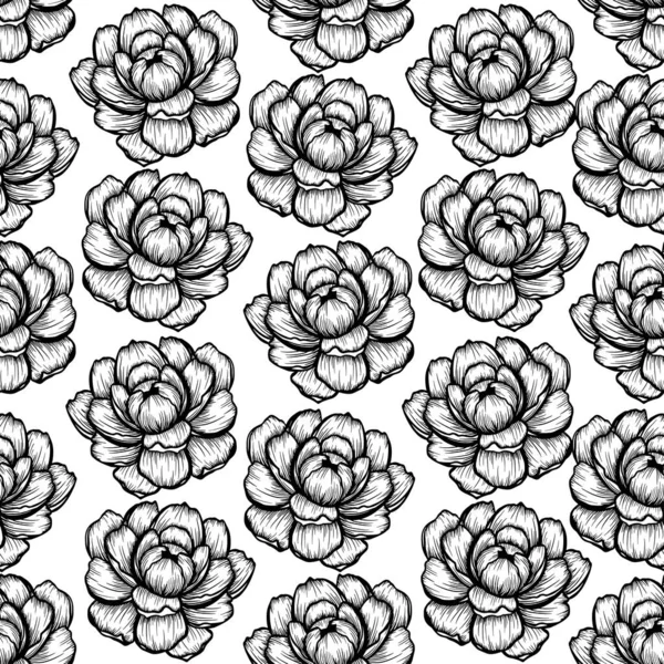 Seamless pattern Peony flower and leaf hand drawn botanical illustration with line art