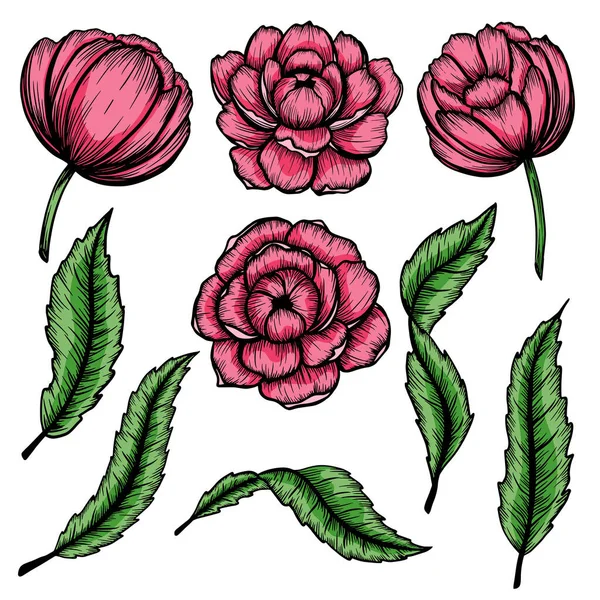 Set of vector vintage peonies with dark strokes on a brown background. Imitation of a hand drawing on old craft paper