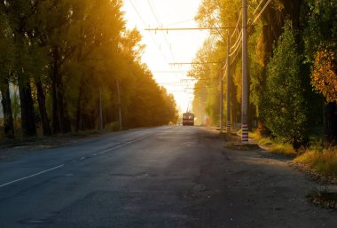 Trolleybus, akşam vakti küçük bir kasabada ağaçların arasında yol alır.