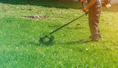 Koruyucu pantolonlu işçi çimenleri otonom çim biçme makinesiyle biçiyor.