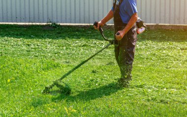 Koruyucu pantolonlu işçi çimenleri otonom çim biçme makinesiyle biçiyor.
