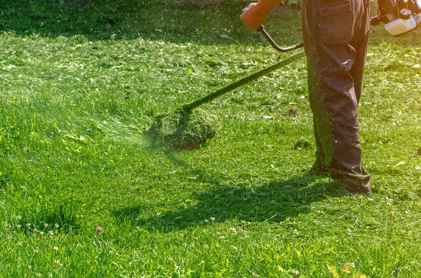 Werkman Beschermende Broek Maait Het Groene Gras Het Gazon Met — Stockfoto