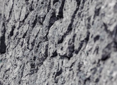 Doğal işlenmemiş taştan yapılmış taş duvar. Eski kale duvarı