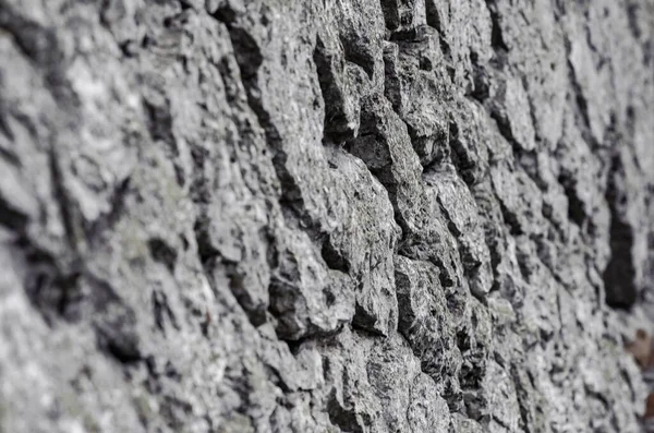 Kamienna Ściana Wykonana Naturalnego Nieobrobionego Kamienia Starożytny Mur Zamkowy — Zdjęcie stockowe