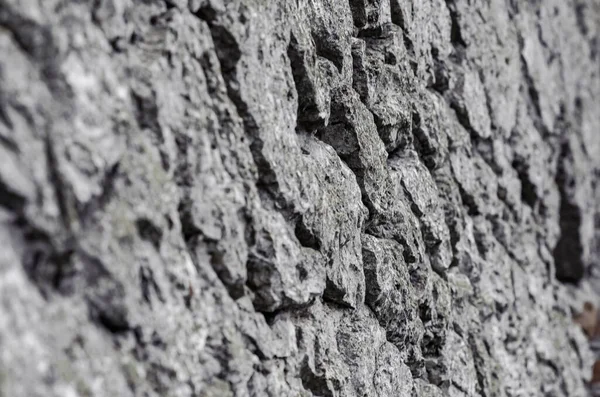 Stone Wall Made Natural Untreated Stone Ancient Castle Wall — Stock Photo, Image