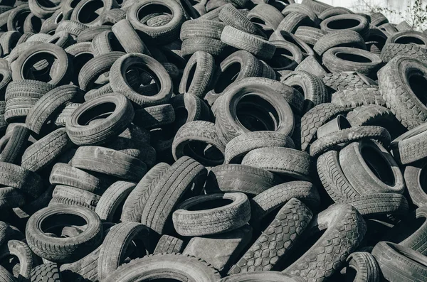 Landfill Old Car Tires Torn Spoiled Abandoned — Φωτογραφία Αρχείου