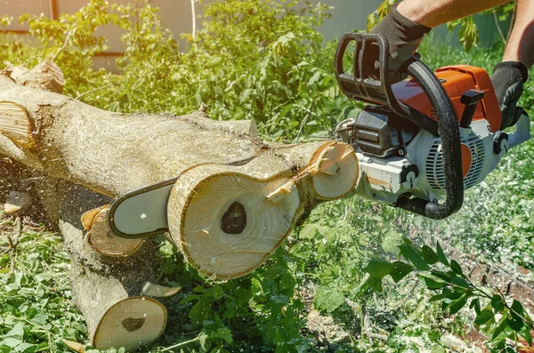 Arbeiter Schneidet Holz Mit Der Elektrischen Kettensäge — Stockfoto