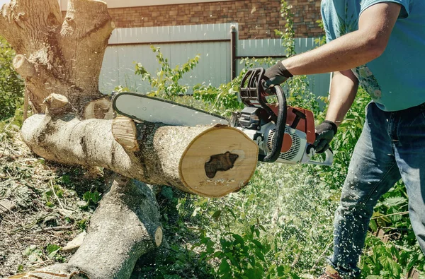 Trabajador Masculino Corta Madera Con Una Motosierra Eléctrica —  Fotos de Stock