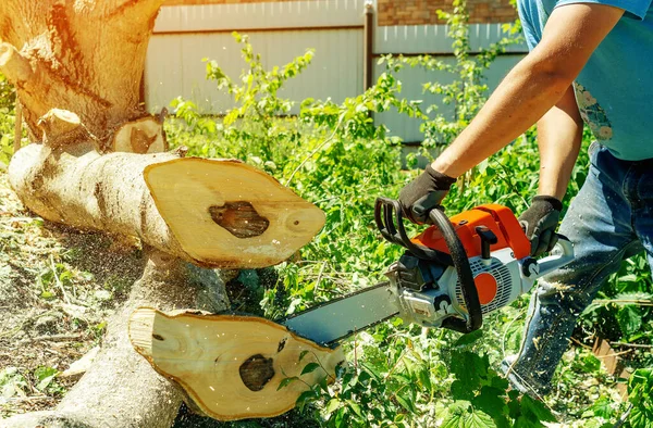 Man Arbetare Skär Trä Med Elektrisk Motorsåg — Stockfoto