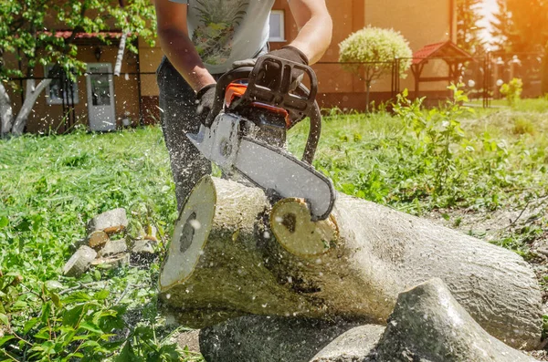 Mannelijke Arbeider Zaagt Hout Met Een Elektrische Kettingzaag — Stockfoto