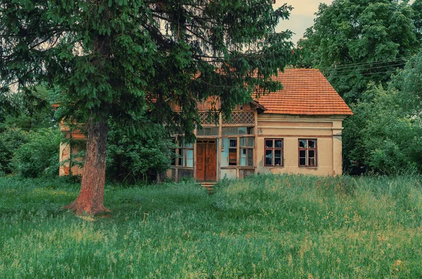 Ancienne Maison Abandonnée Envahie Arbres Herbe — Photo